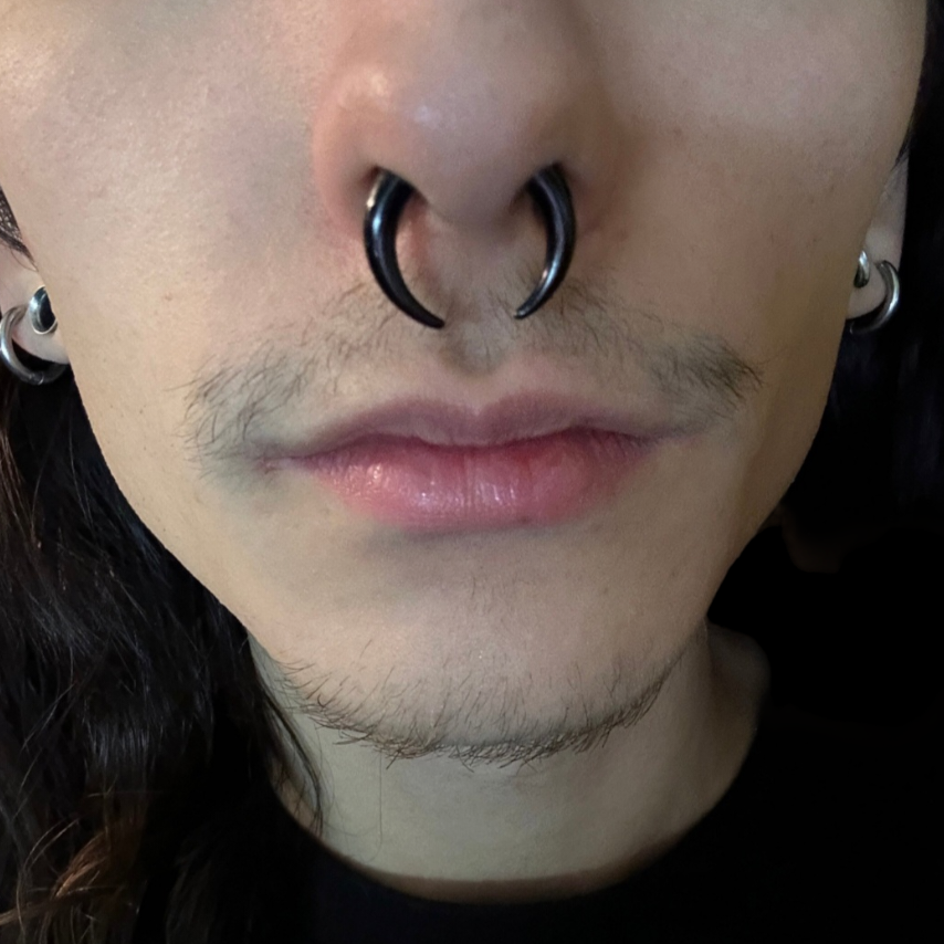 Buffalo Horn Acrylic Septum Pincher Forever Wild Alternative Emporium