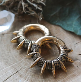Spike Ear Weights ~ Pair