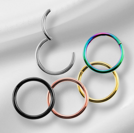 Steel Hinged Segment Ring (Sold Individually)