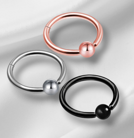 BCR Hinged Segment Ring (Sold Individually)