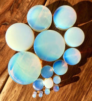 Opalite Plugs ~ Pair