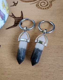 Crystal Sleeper Earrings
