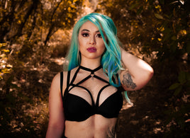Harley Harness
