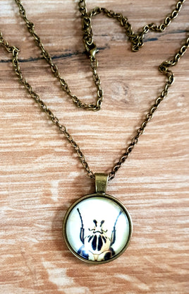 Beetle Cabochon Necklace