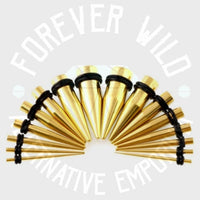 Surgical Steel Tapers ↠ Gold ~ Pair