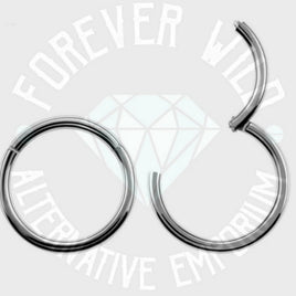 Hinged Segment Ring ↠ Silver