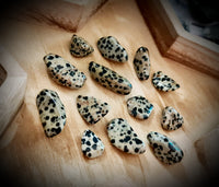 Dalmatian Jasper Tumbled Stone ~ Sold Individually