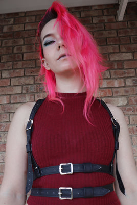 Pandemic Harness