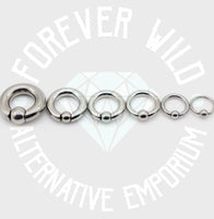 Prince Albert Ball Closure Ring (Sold Individually)