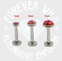 Opal Bezel Labret (Sold Individually)